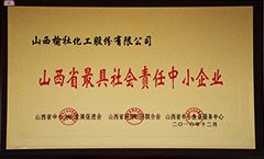 2010年山西省最具社會(huì)責(zé)任中小企業(yè)